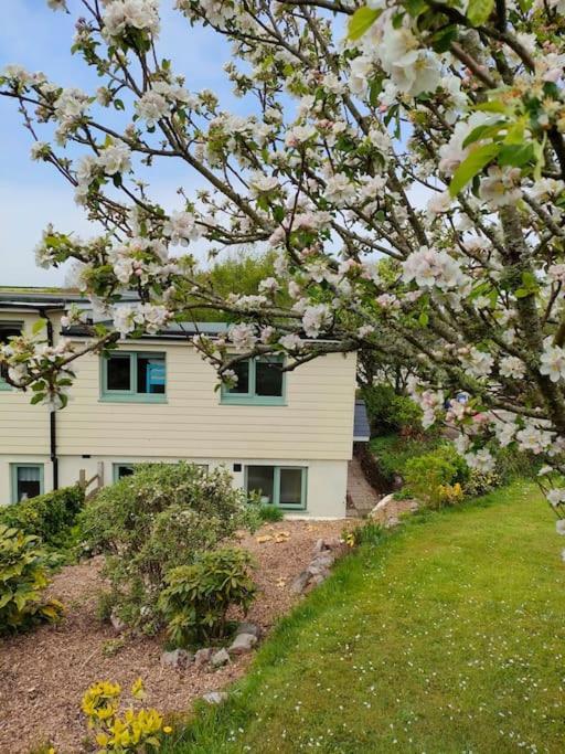 Broadhaven Cottage, Freshwater East, Pembs Pembroke Exterior foto